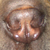 Colleen's dog Amelia the Sharpei