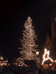 IMG_2005.JPG